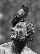 13_florenz_3567