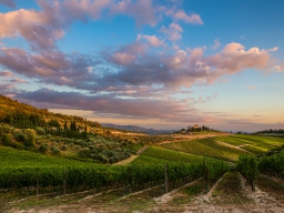 siegmar_honegg_montepolciano_4235